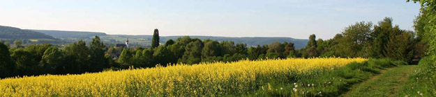 Kulturpanorama